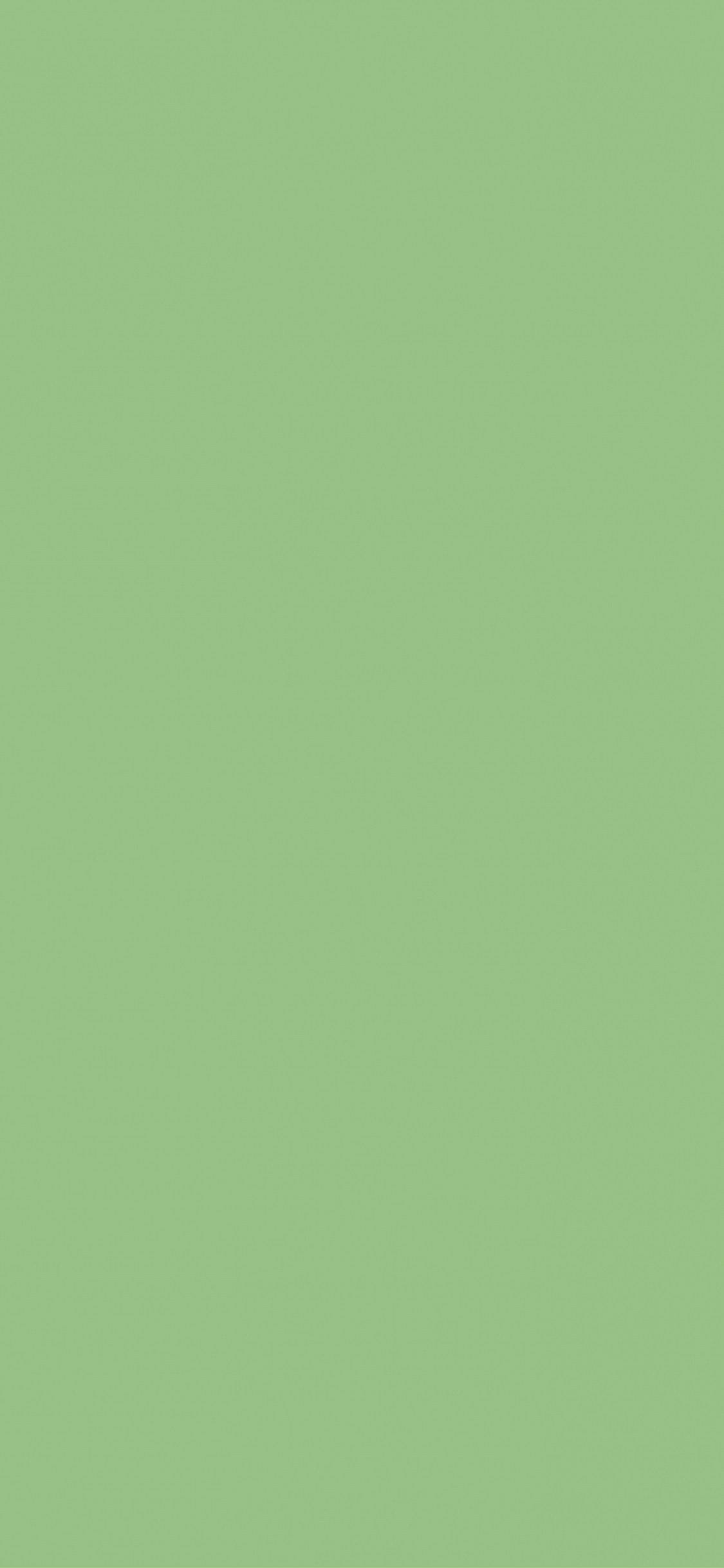 Matcha Green Wallpapers