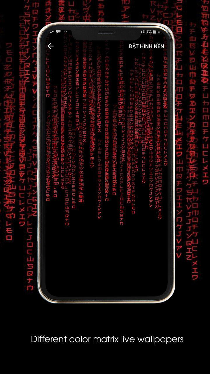 Matrix Phone Wallpapers