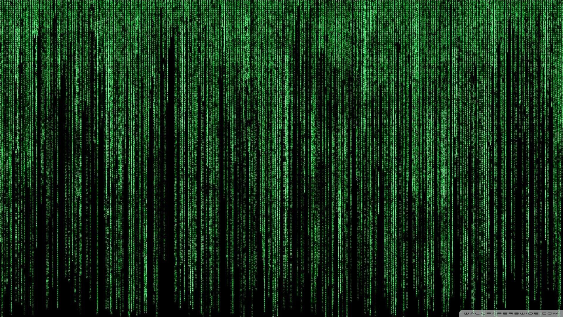 Matrix Phone Wallpapers