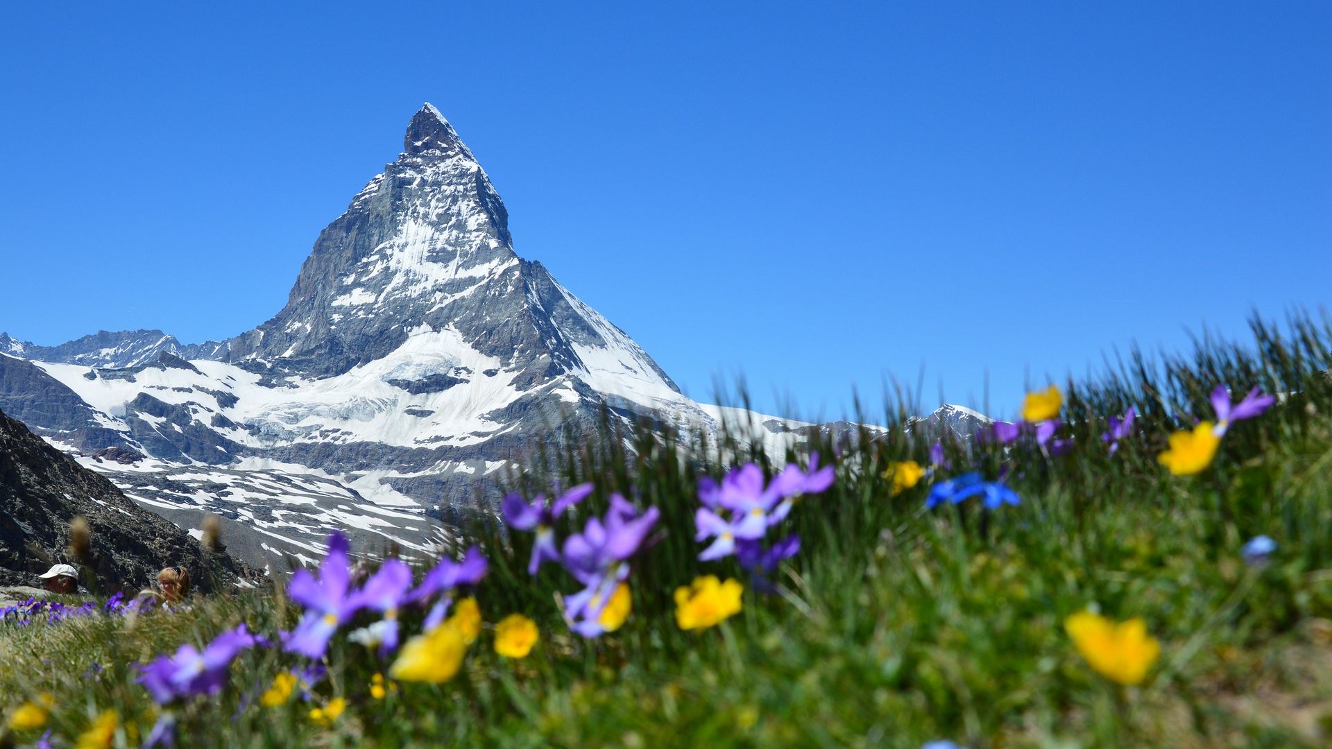 Matterhorn Hd Mountain Alps Wallpapers