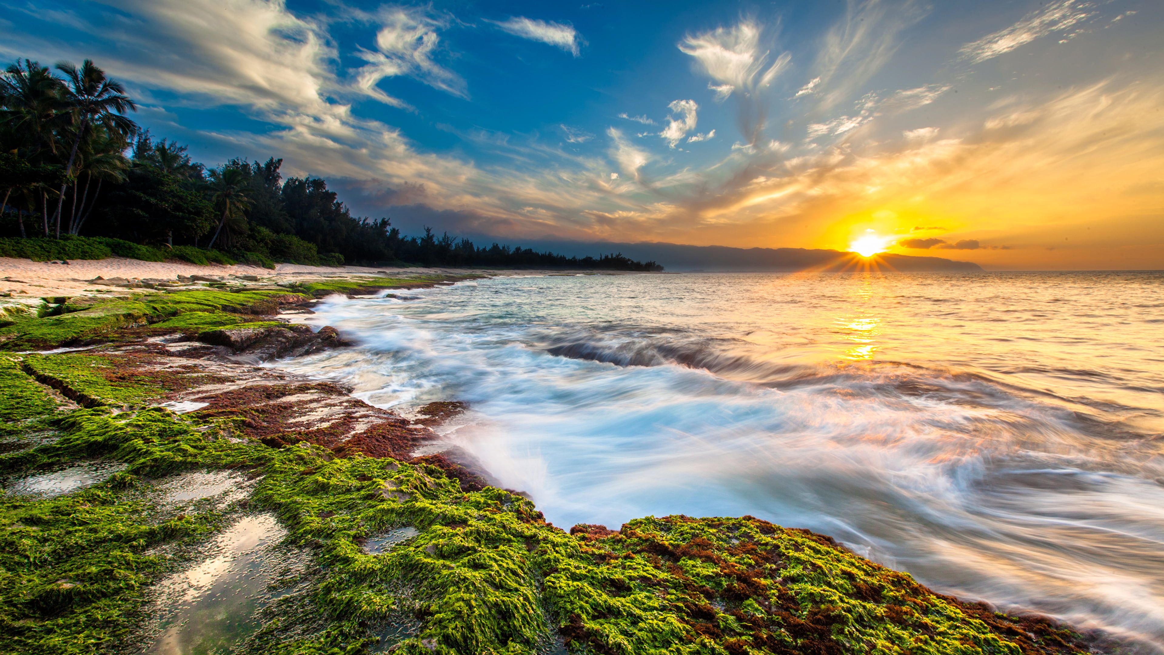 Maui Beach Wallpapers