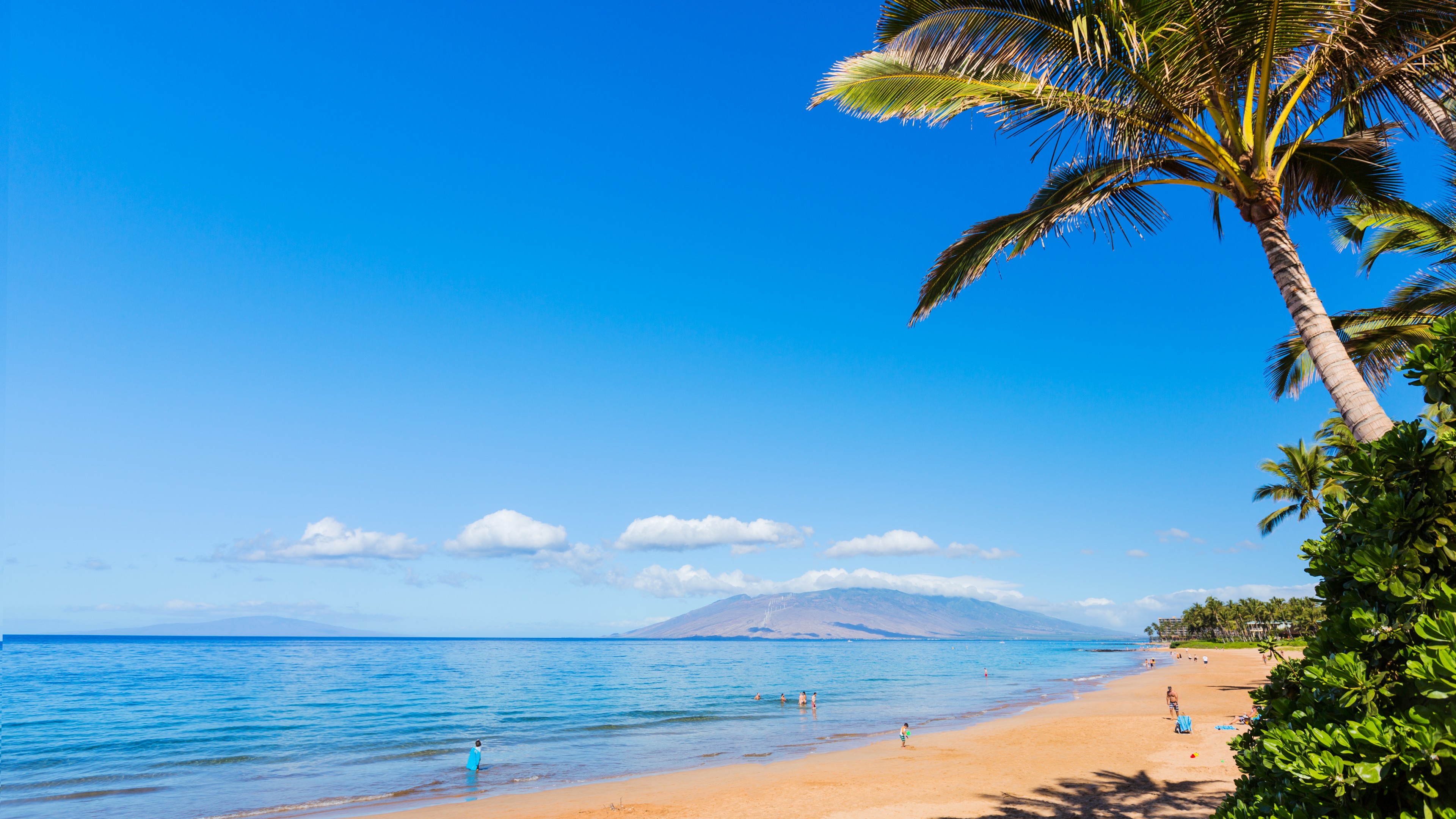 Maui Beach Wallpapers