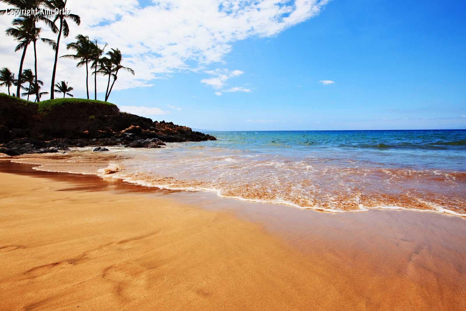 Maui Beach Wallpapers