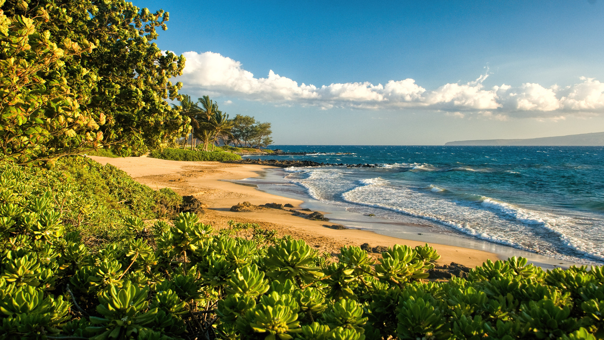 Maui Beach Wallpapers