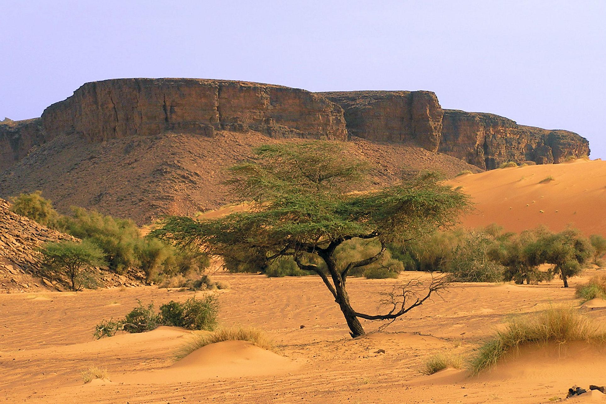 Mauritania Wallpapers