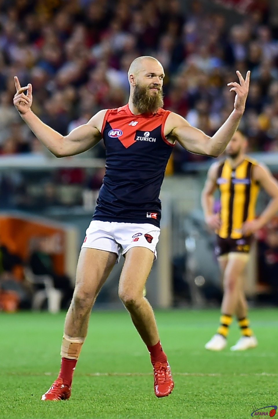 Max Gawn Afl 2021 Wallpapers