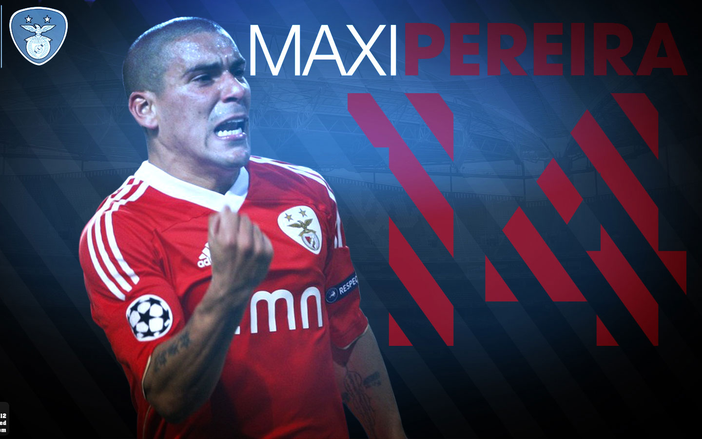 Maxi Rodriguez Wallpapers