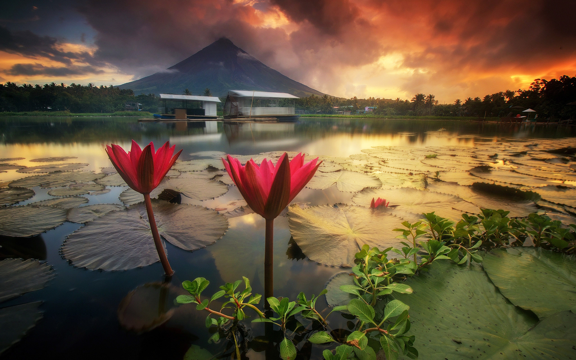 Mayon Volcano Picture Wallpapers