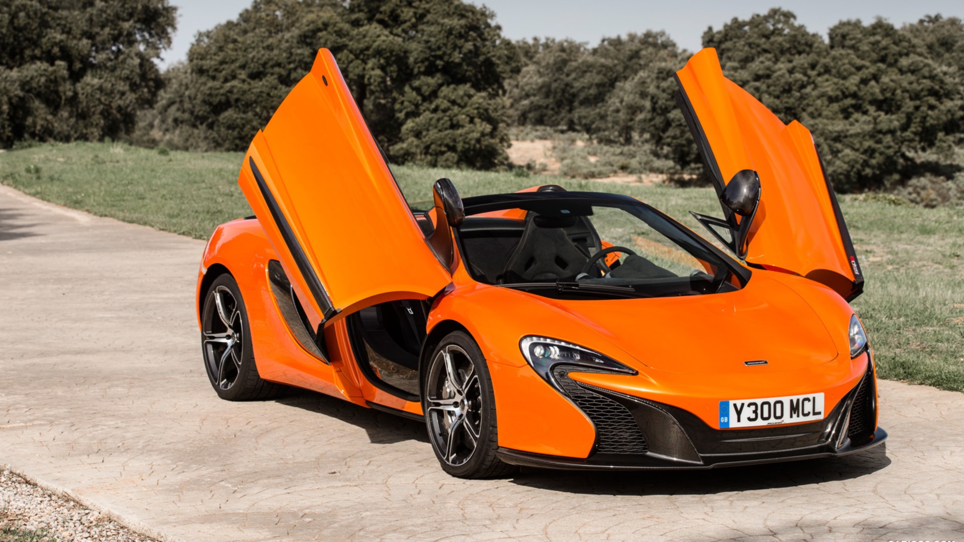 Mclaren 650S Spider Wallpapers