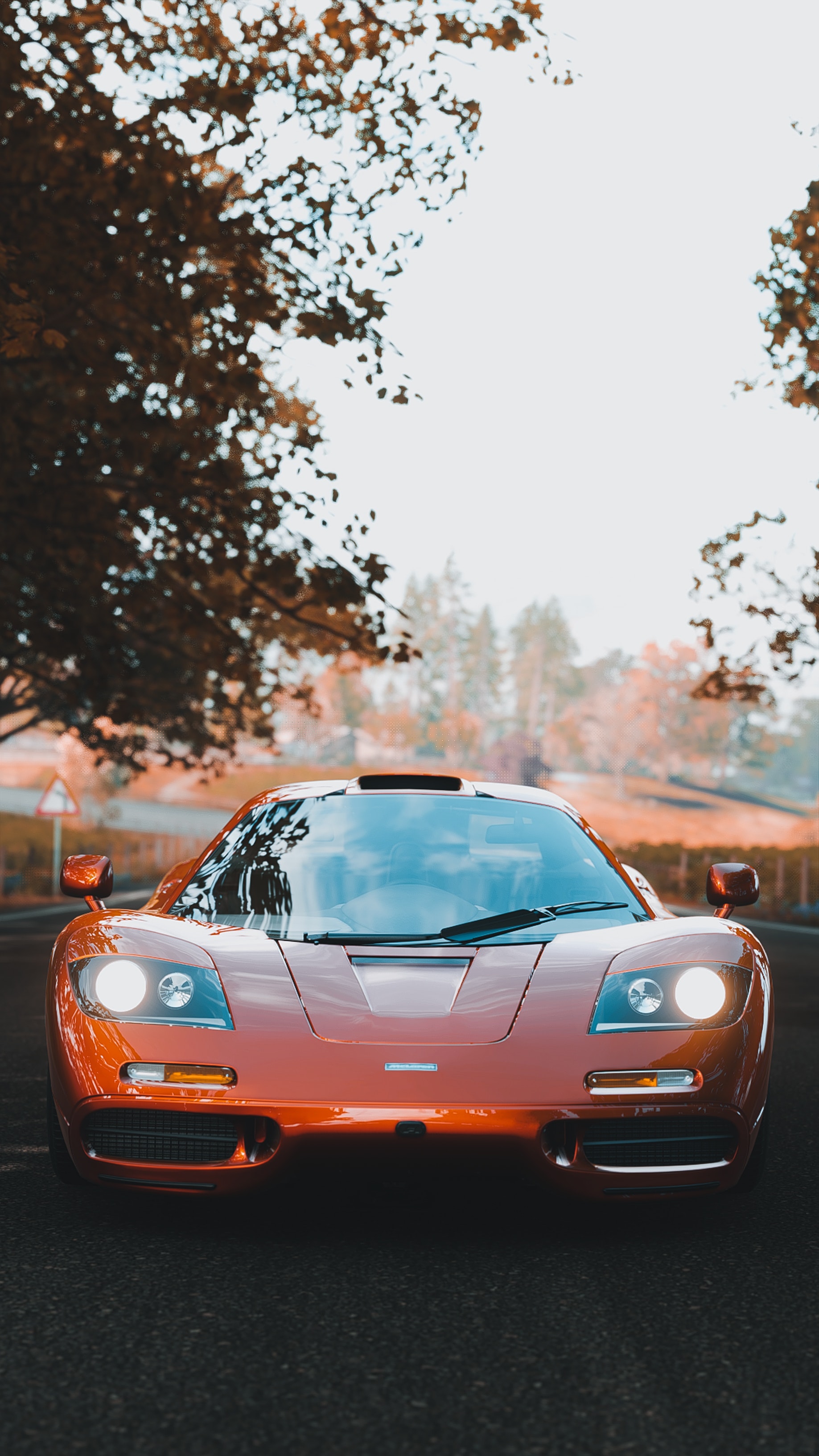 Mclaren F1 Lm Wallpapers