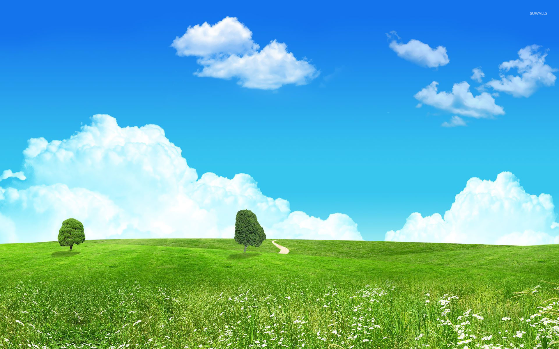 Meadow Wallpapers