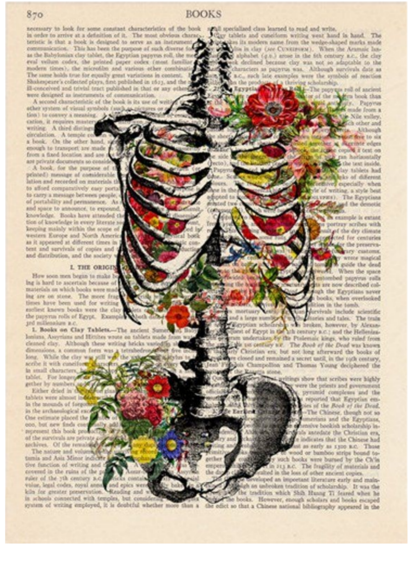 Medical Anatomy Art Wallpapers