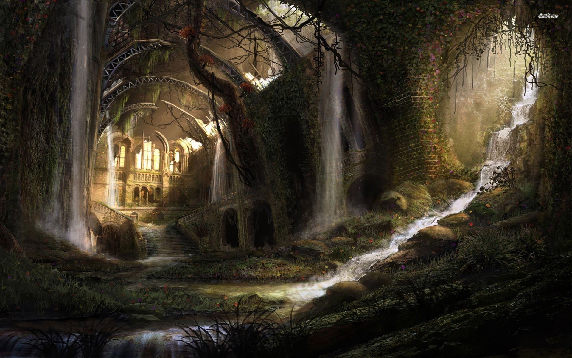 Medieval Forest Wallpapers