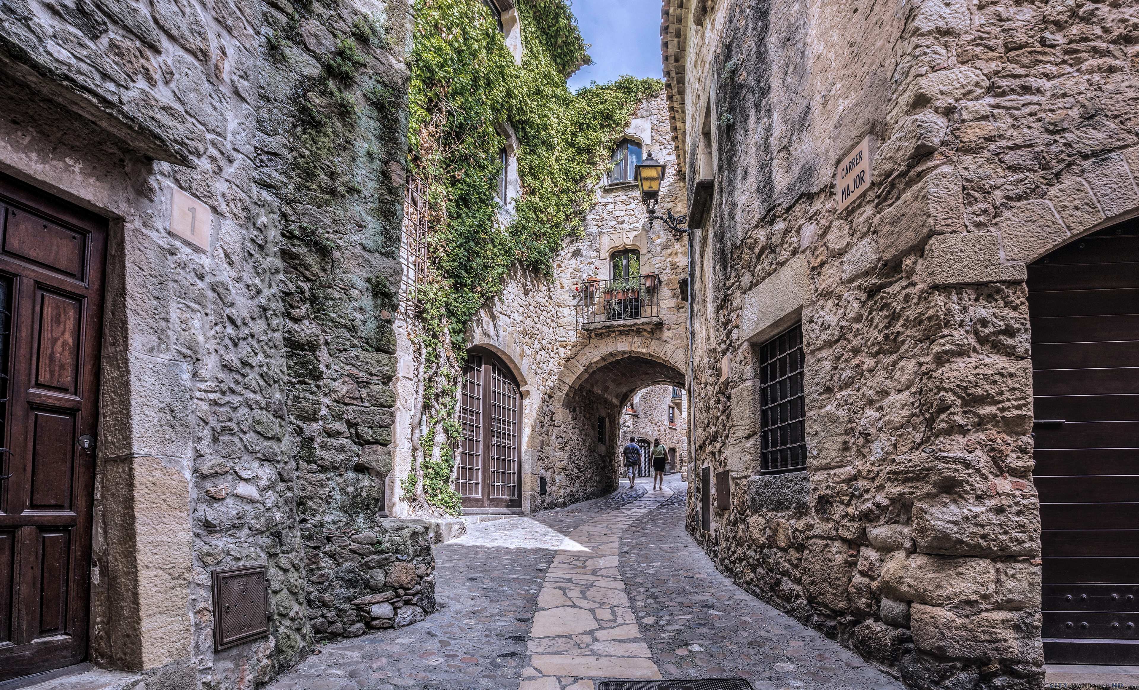 Medieval Village Background