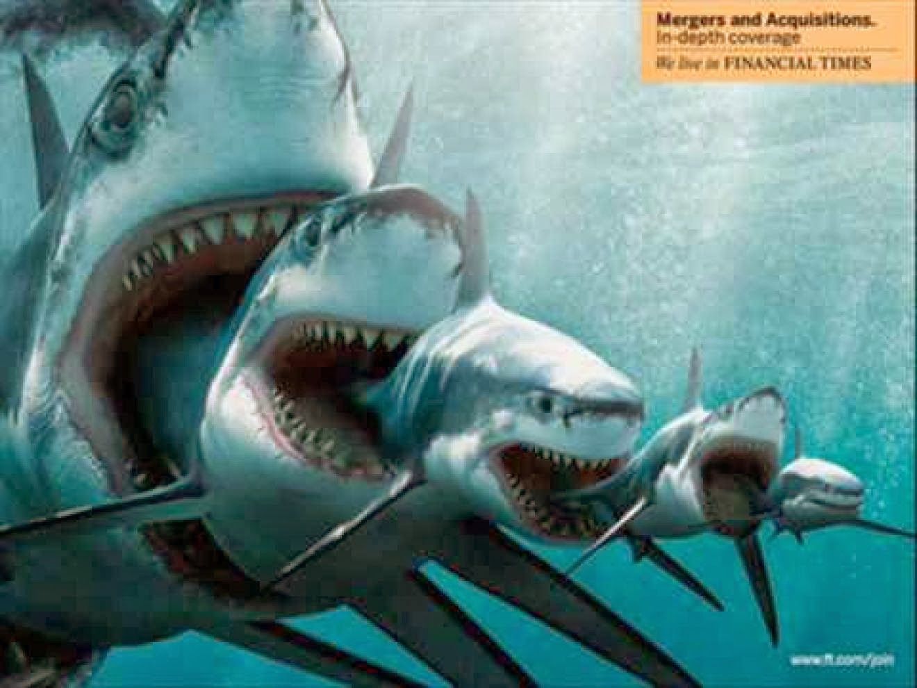 Megalodon Wallpapers