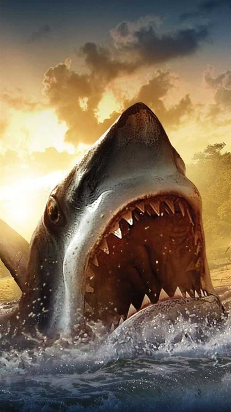 Megalodon Wallpapers