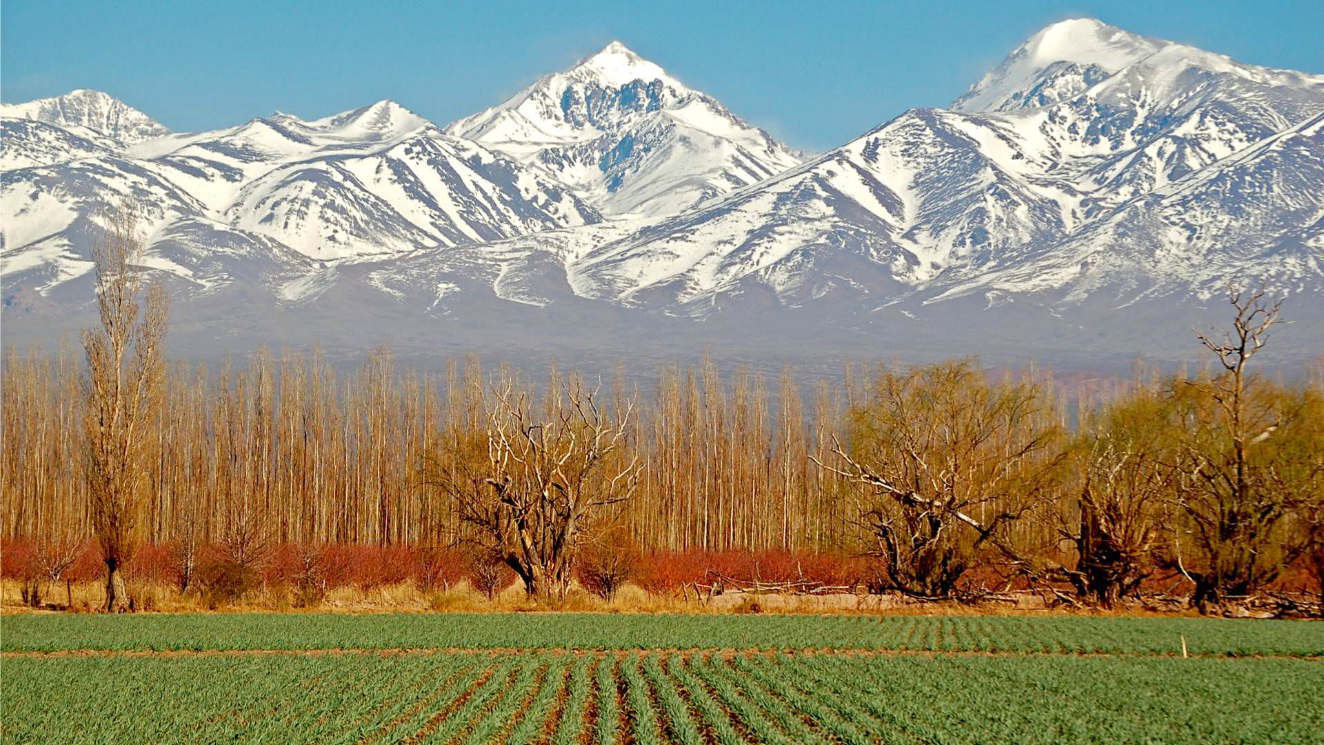 Mendoza Castle Wallpapers