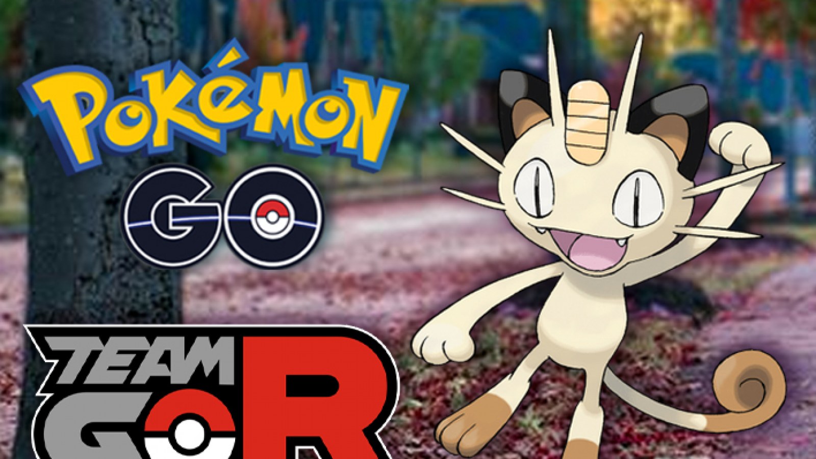 Meowth Hd Wallpapers