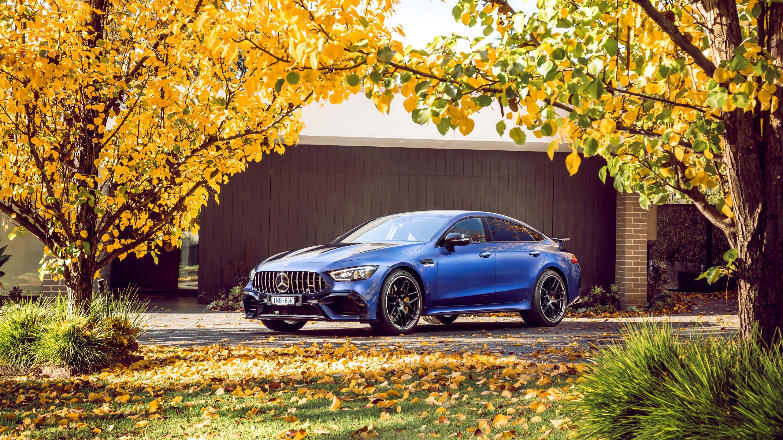 Mercedes-Amg Gt 63 S Wallpapers