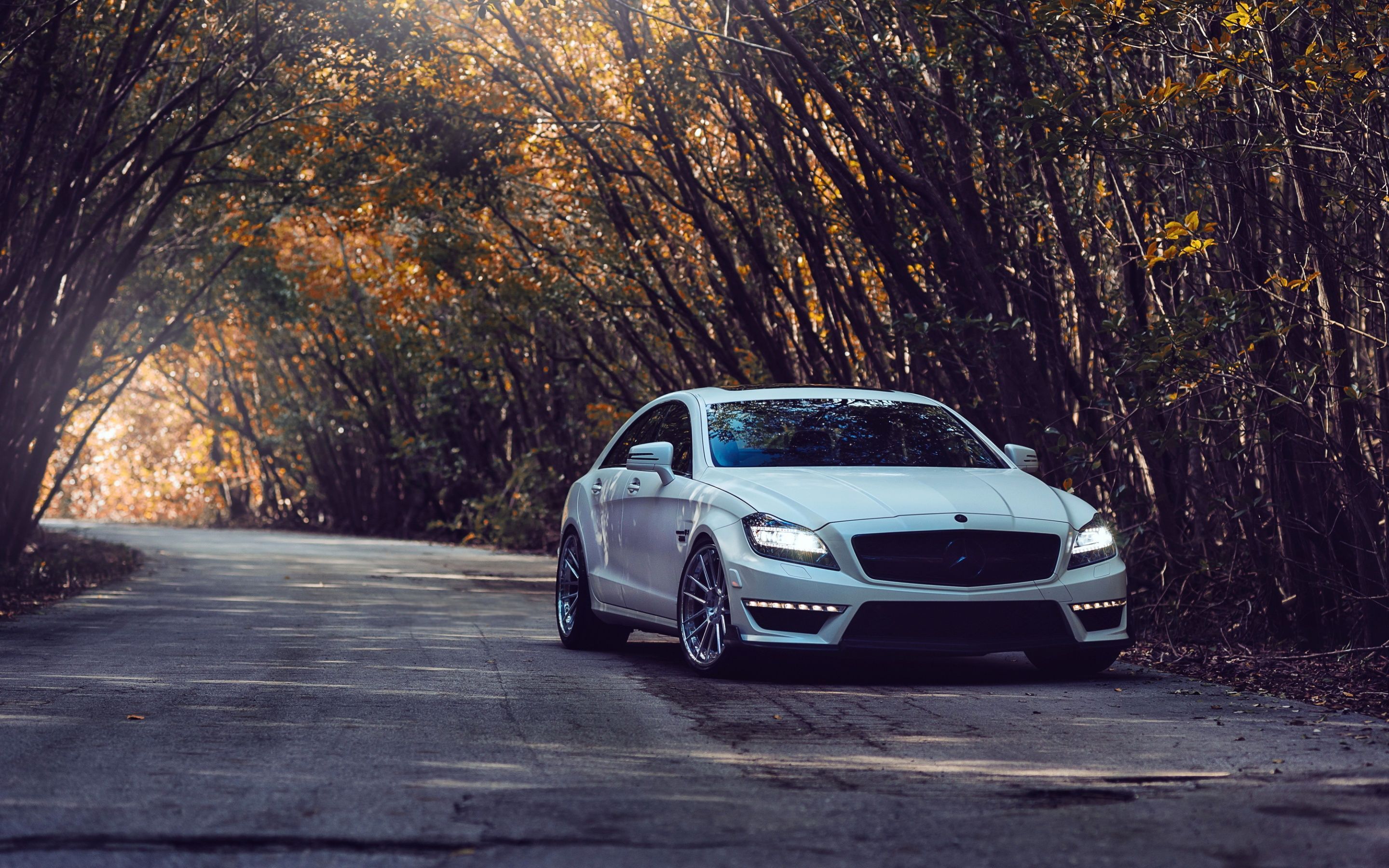 Mercedes-Benz Cls550 Wallpapers