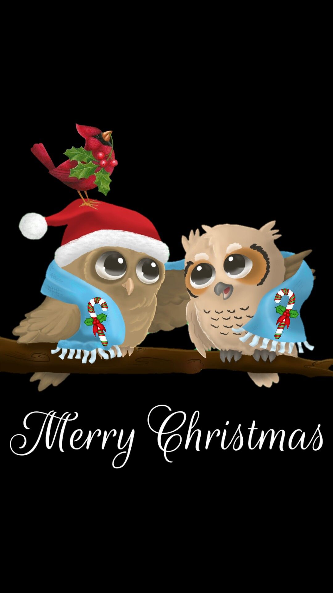 Merry Christmas Owl Images Wallpapers