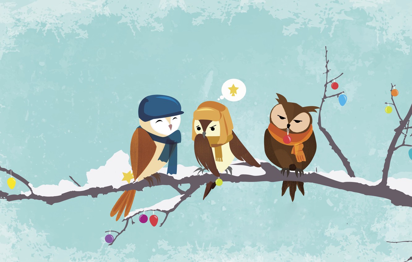 Merry Christmas Owl Images Wallpapers