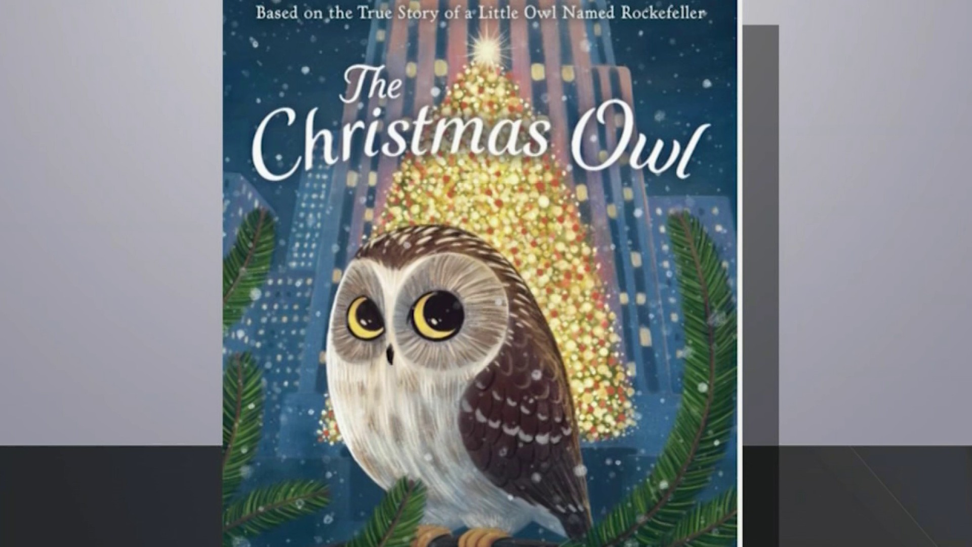 Merry Christmas Owl Images Wallpapers