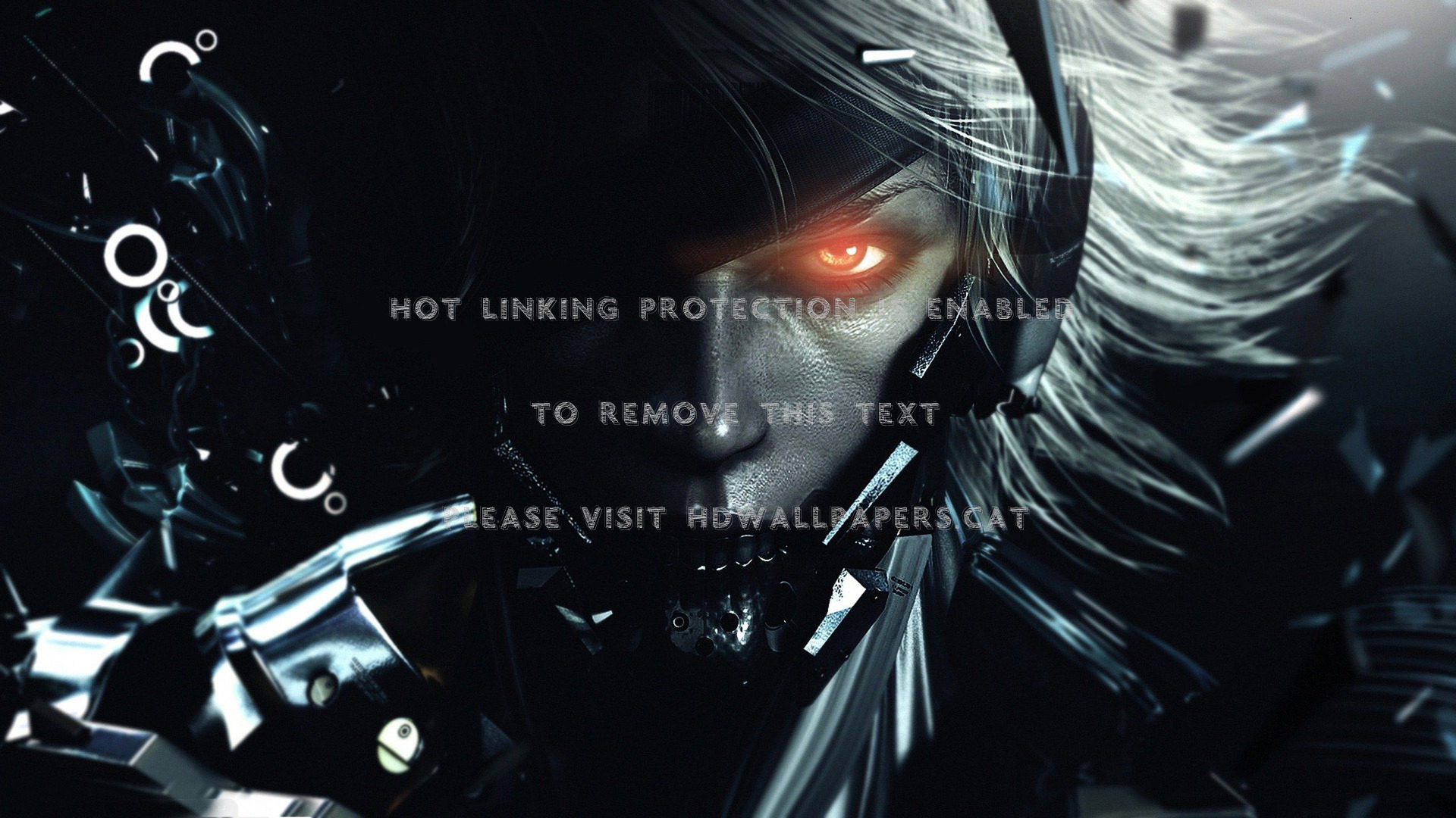 Metal Gear Rising: Revengeance Wallpapers
