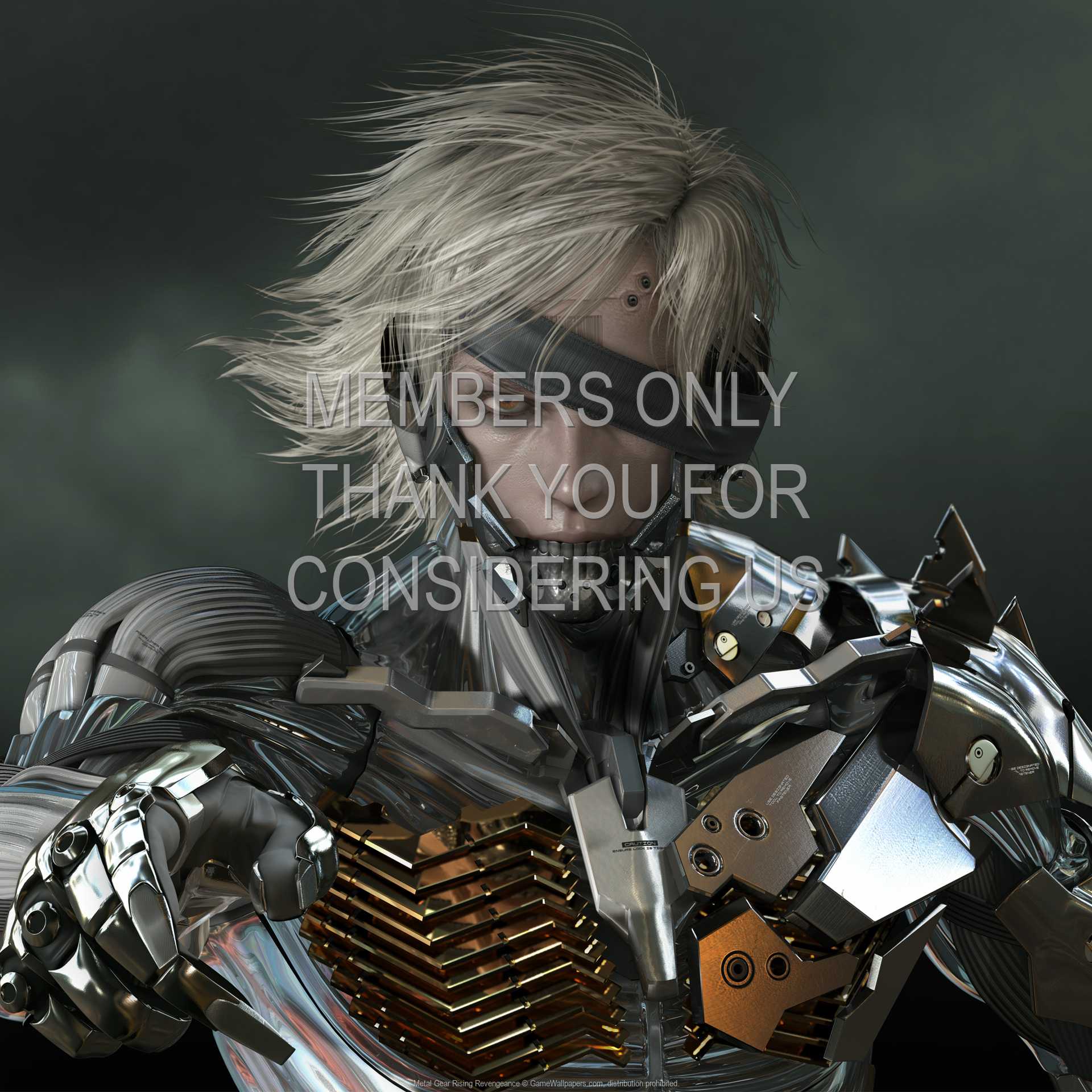 Metal Gear Rising Wallpapers