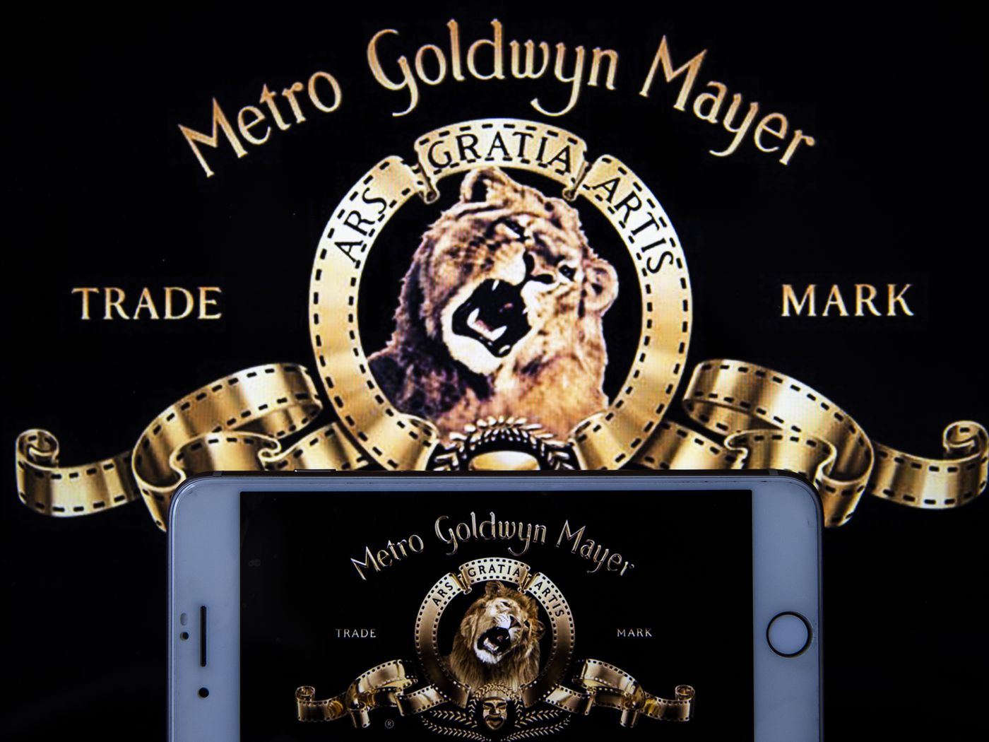 Mgm Holdings Wallpapers