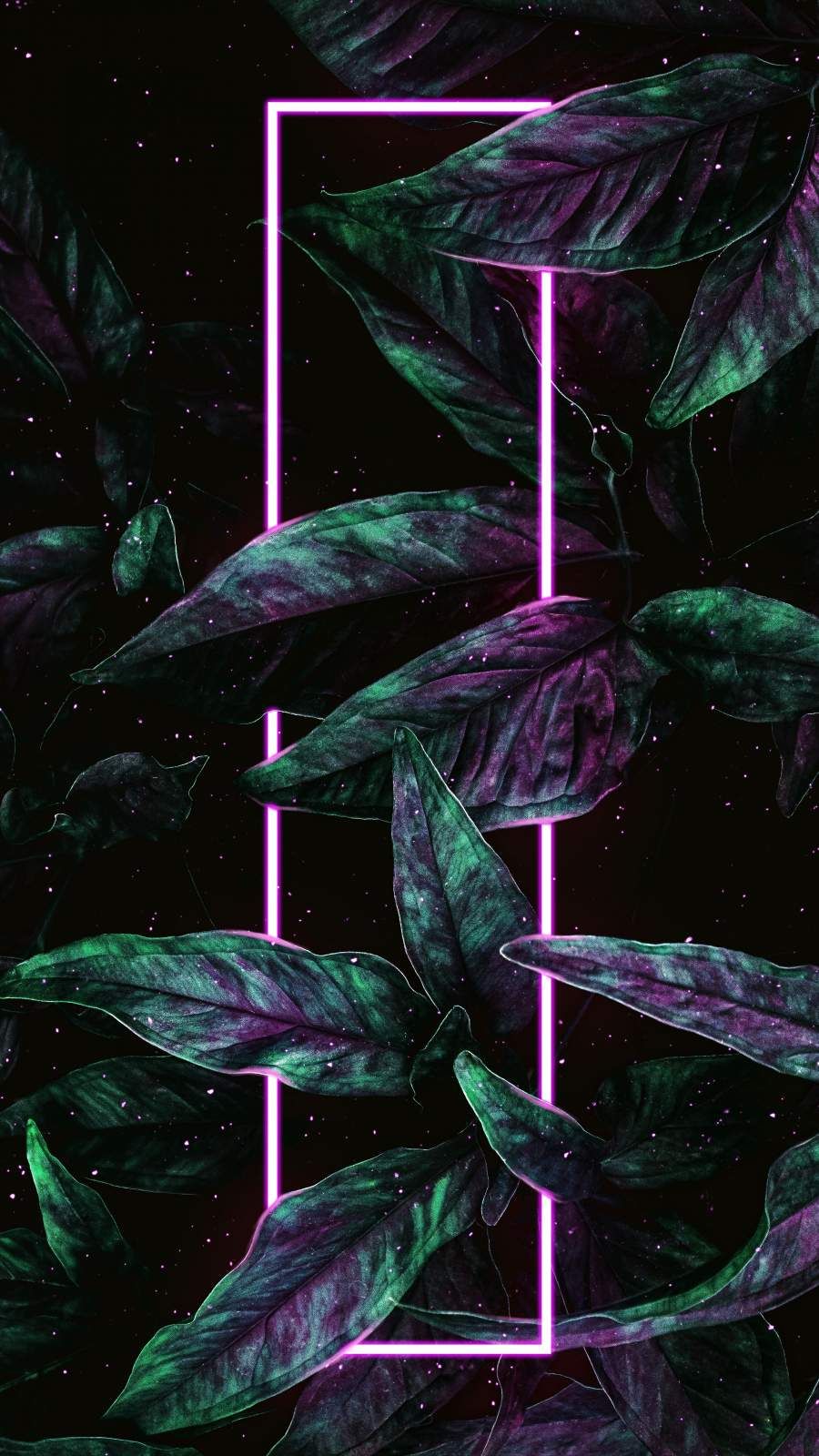 Miami Neon Wallpapers