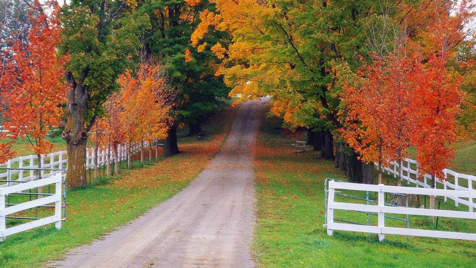 Michigan Fall Wallpapers