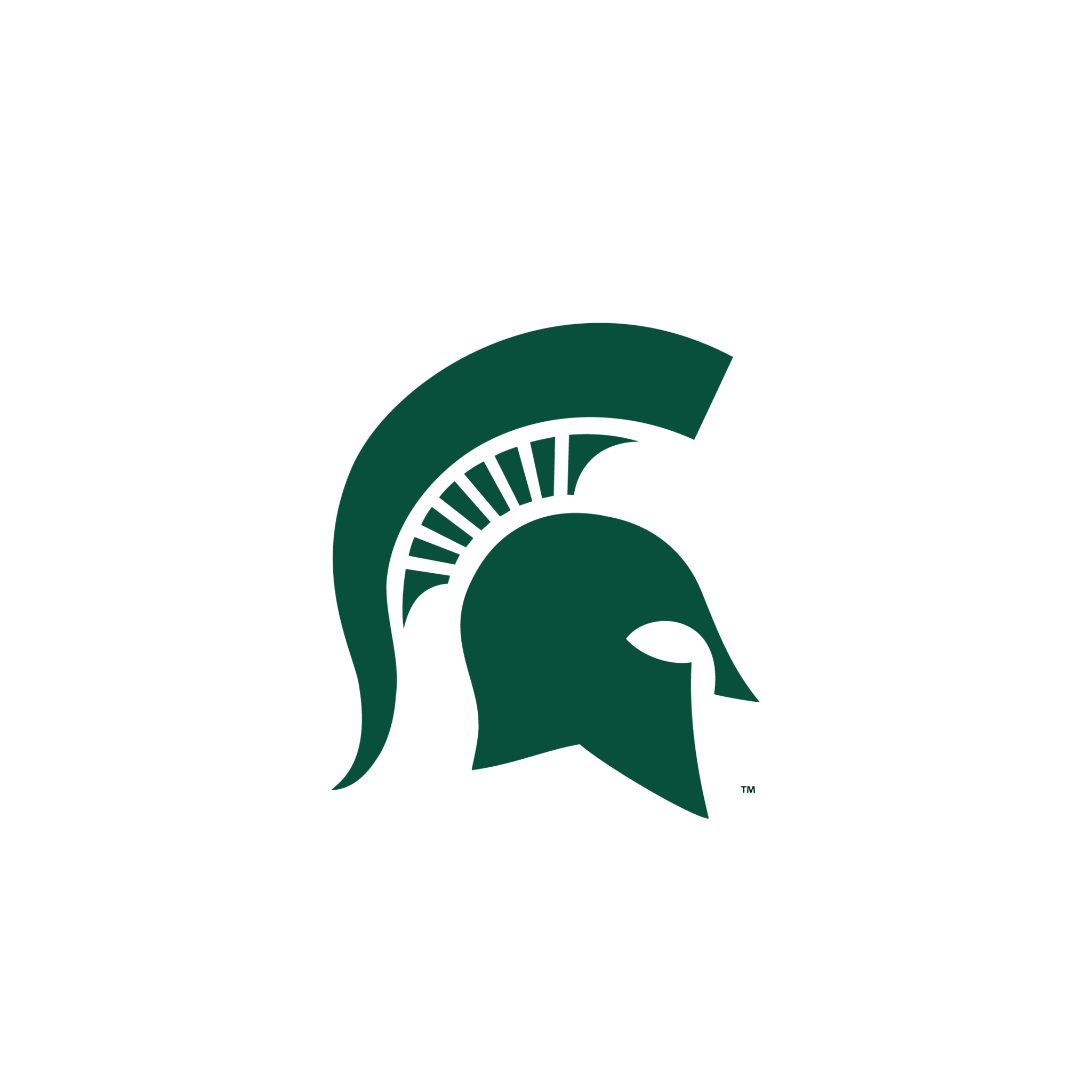 Michigan State Wallpapers