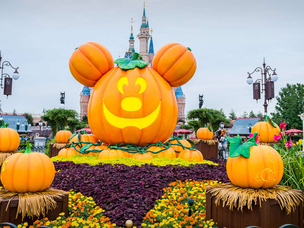 Mickey Pumpkin Wallpapers