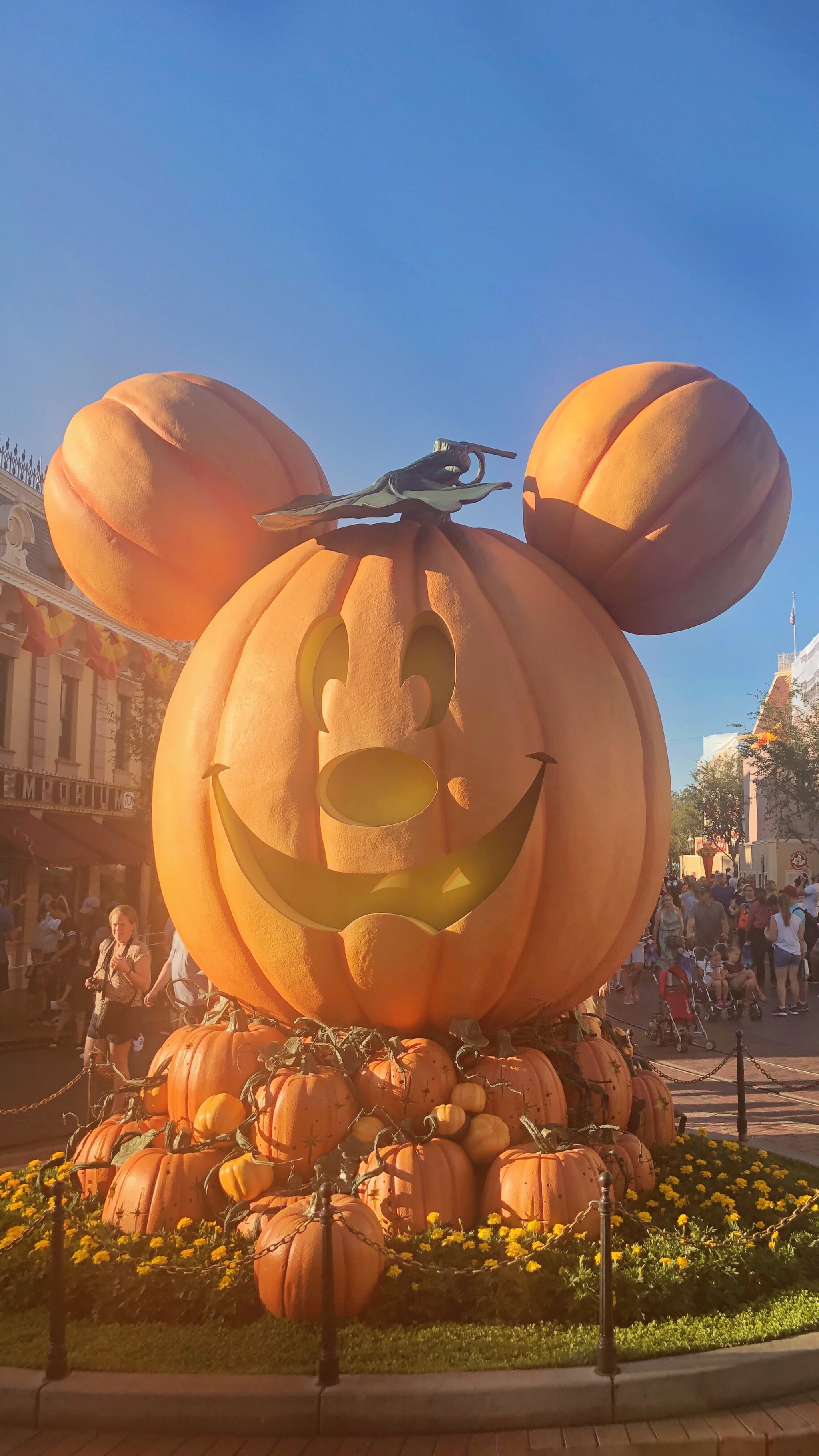 Mickey Pumpkin Wallpapers