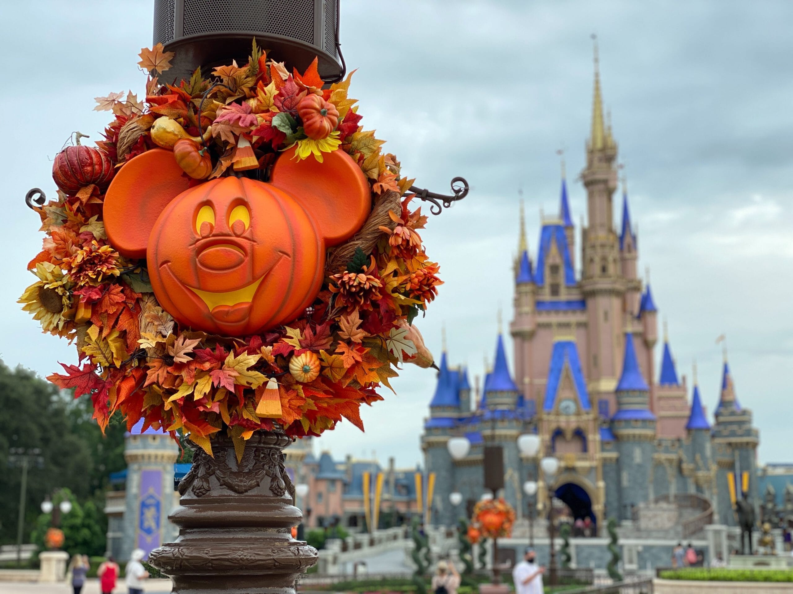 Mickey Pumpkin Wallpapers