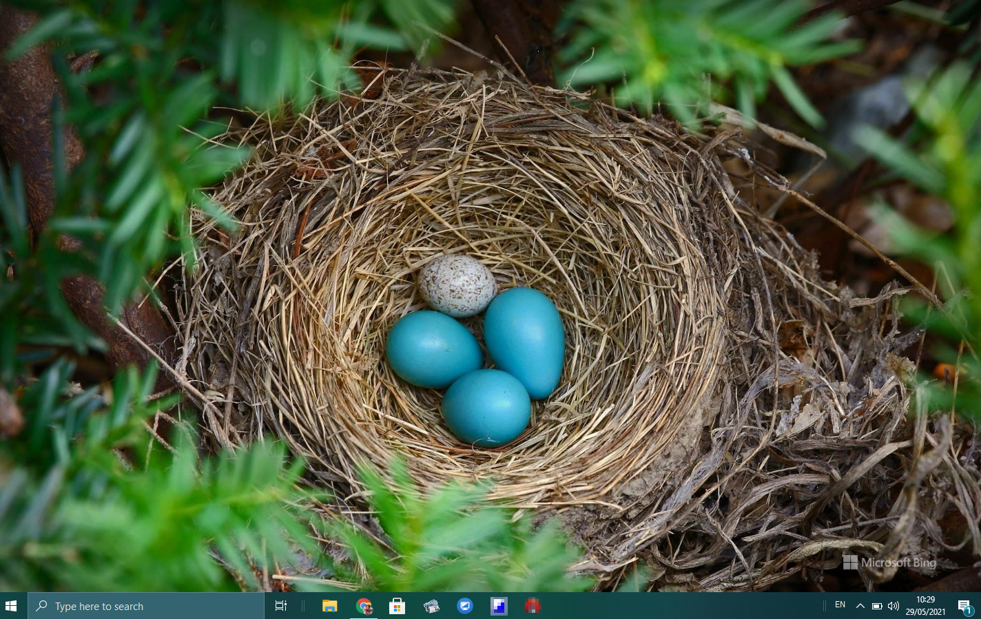 Microsoft Bing Wallpapers