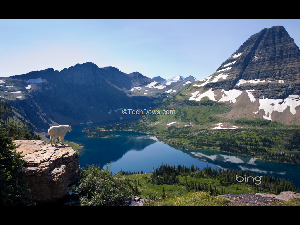 Microsoft Bing Wallpapers