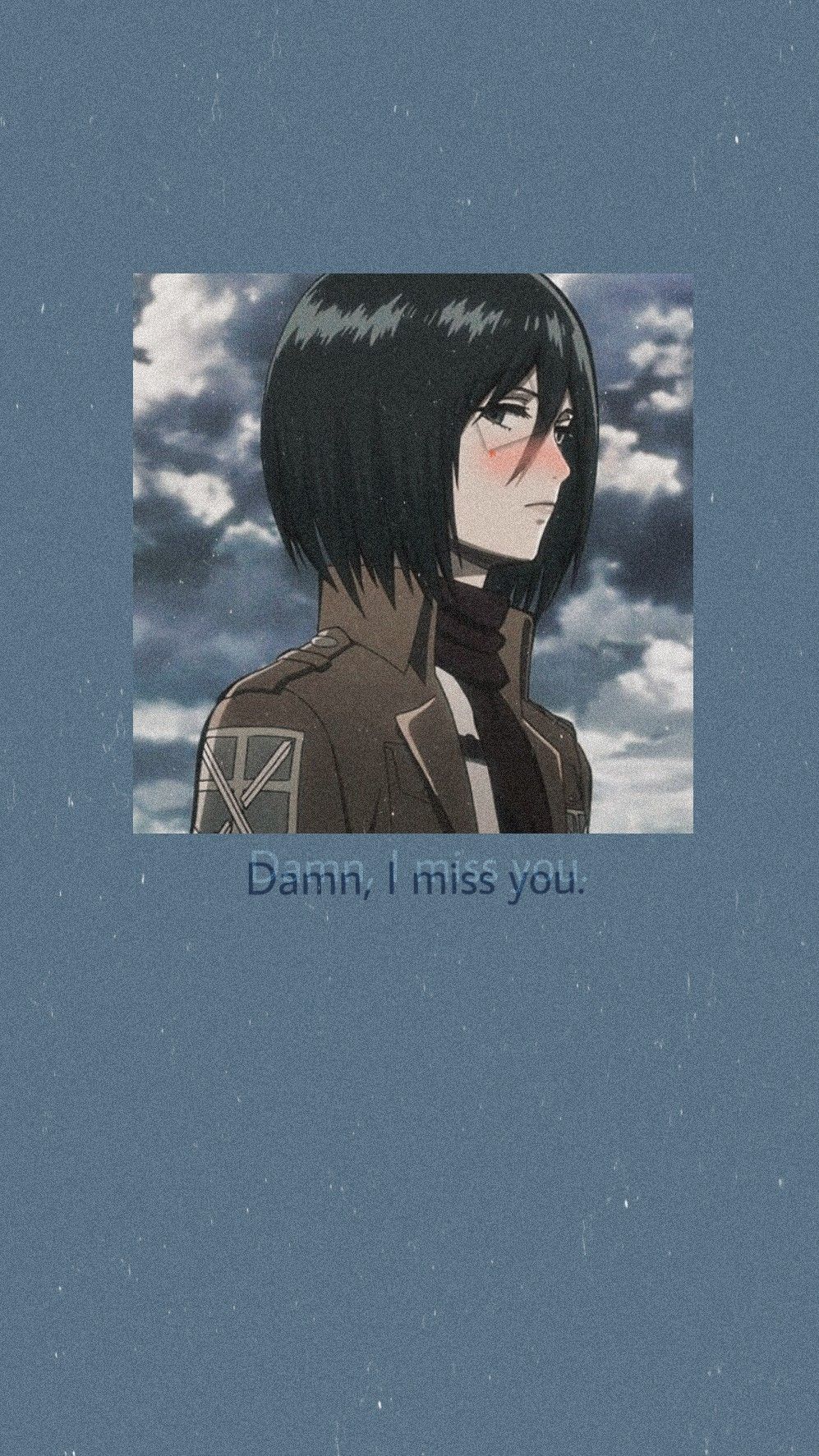 Mikasa Aesthetic Wallpapers