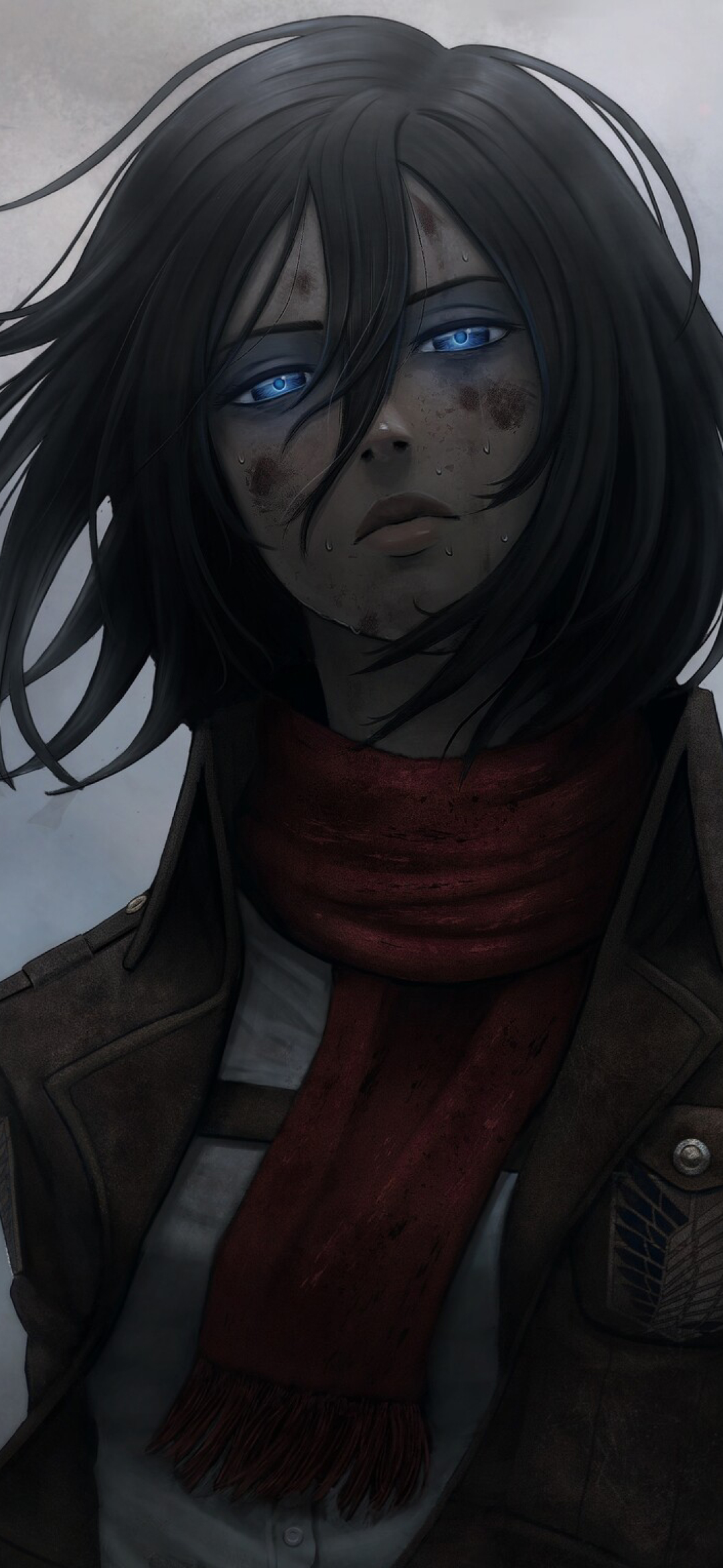 Mikasa Aesthetic Wallpapers