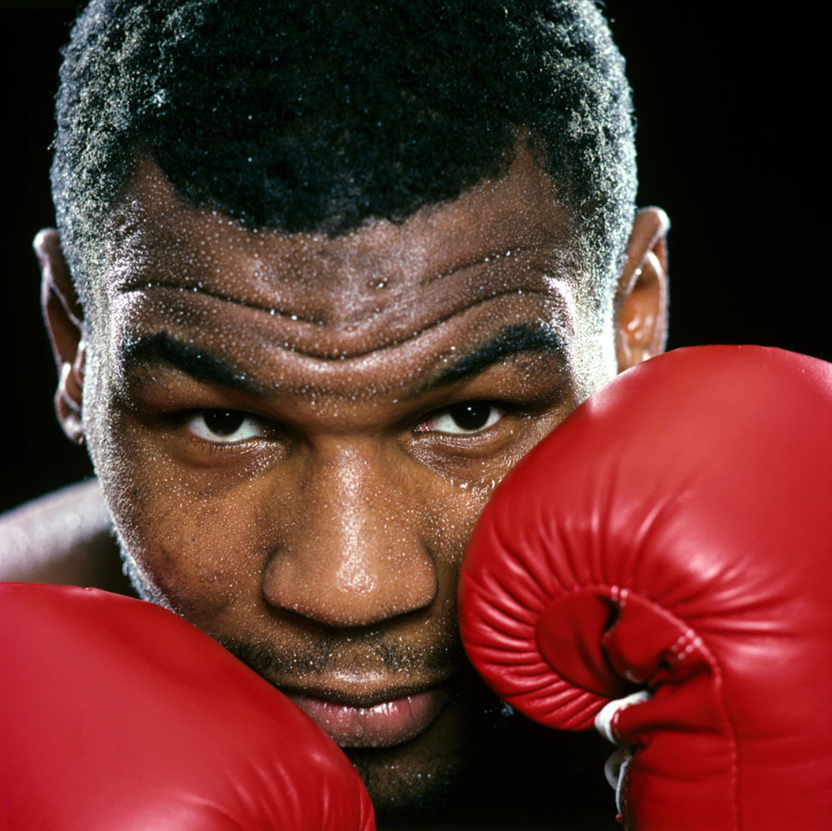 Mike Tyson Wallpapers