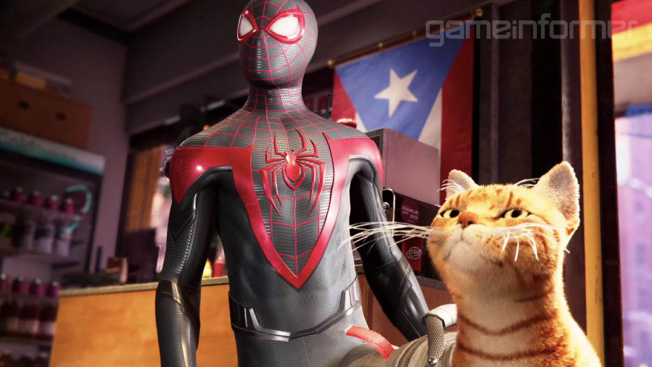 Miles Morales Cat Wallpapers