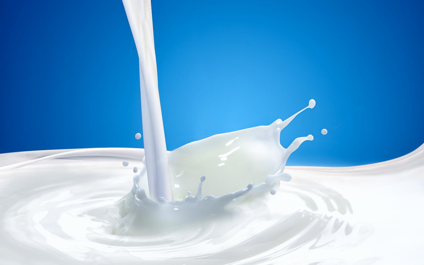 Milk Hd Wallpapers