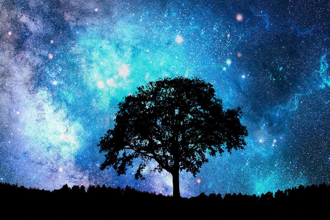 Milky Way Cool Hd Lonely Tree Wallpapers