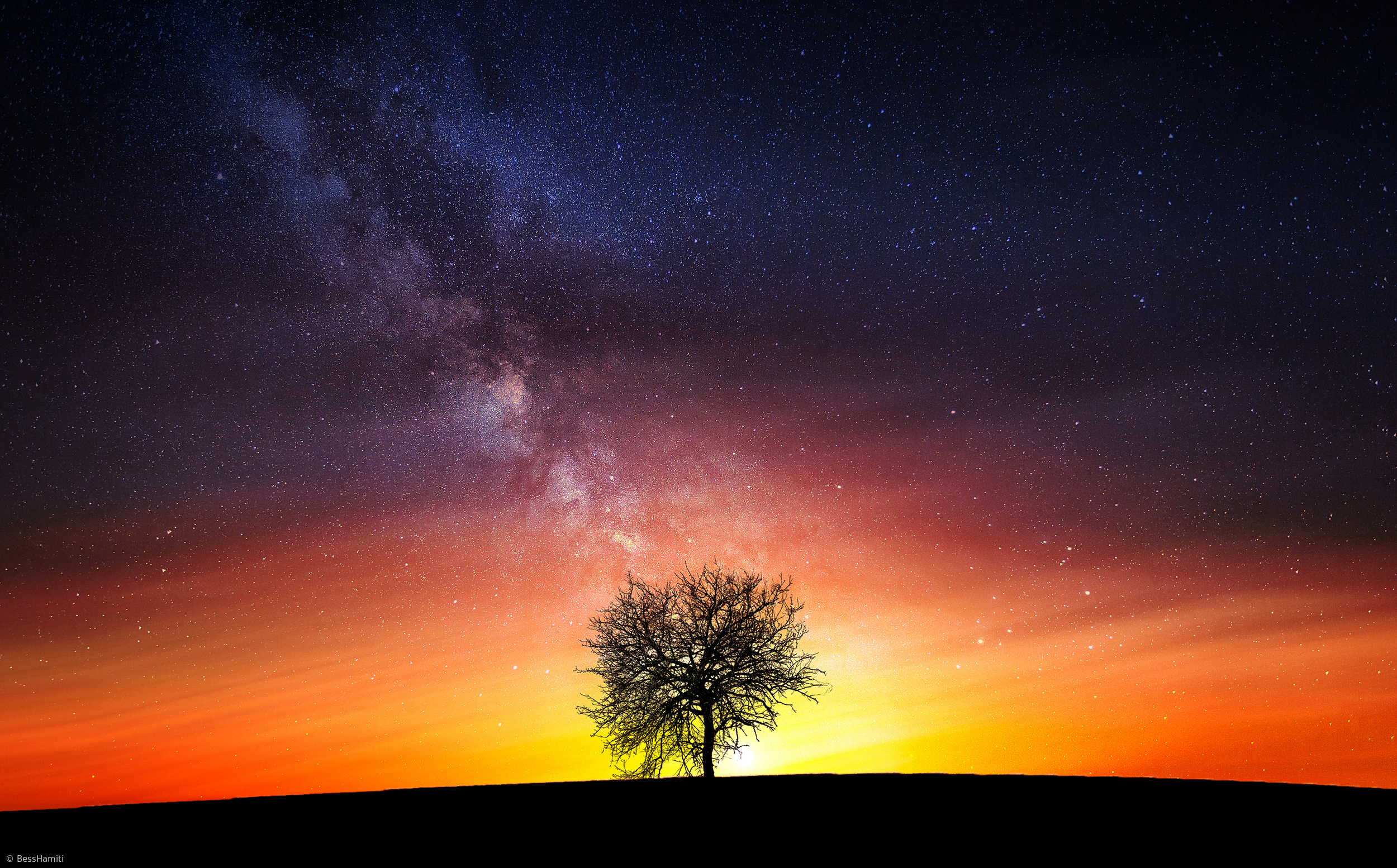 Milky Way Cool Hd Lonely Tree Wallpapers