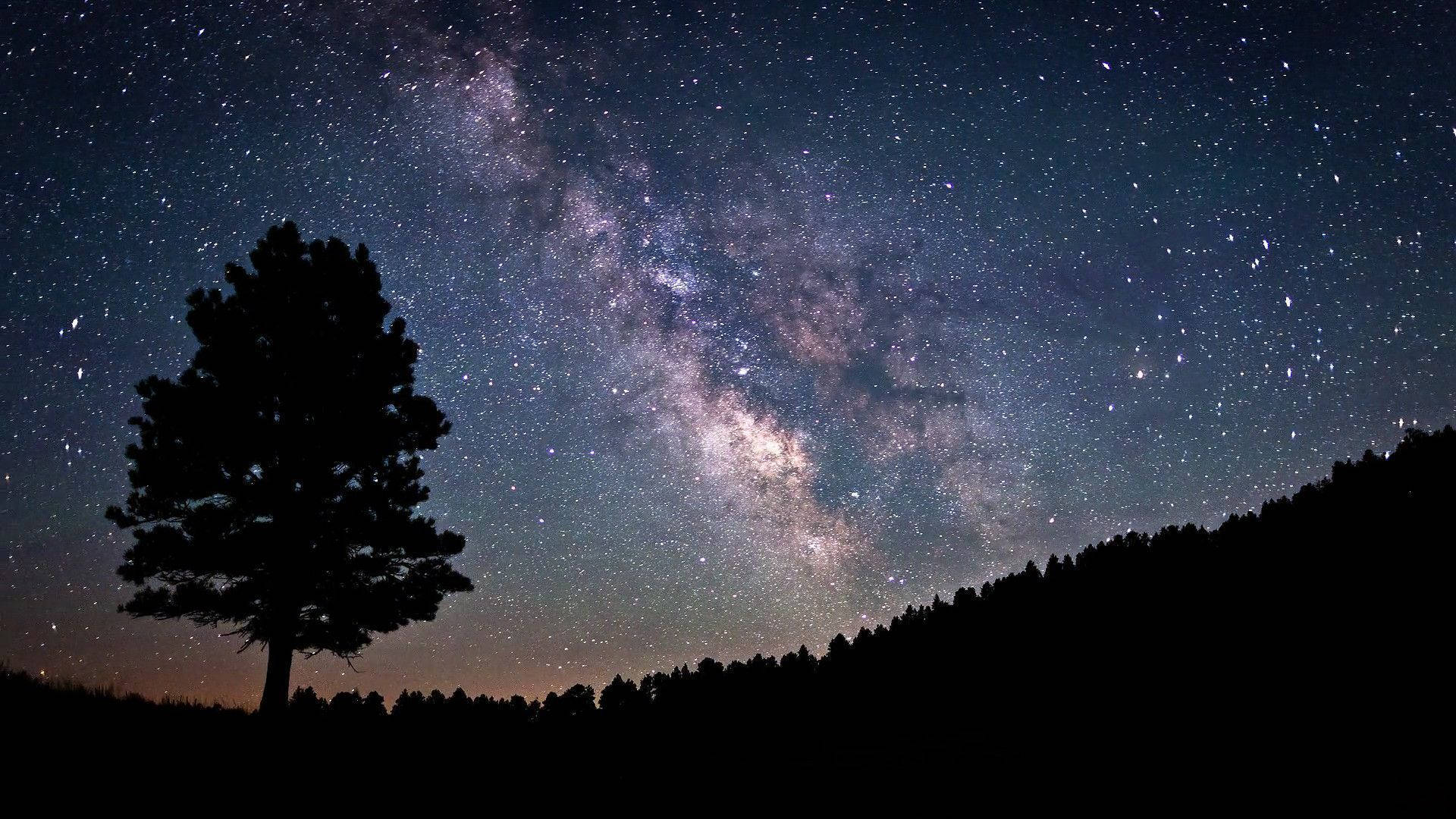 Milky Way Cool Hd Lonely Tree Wallpapers