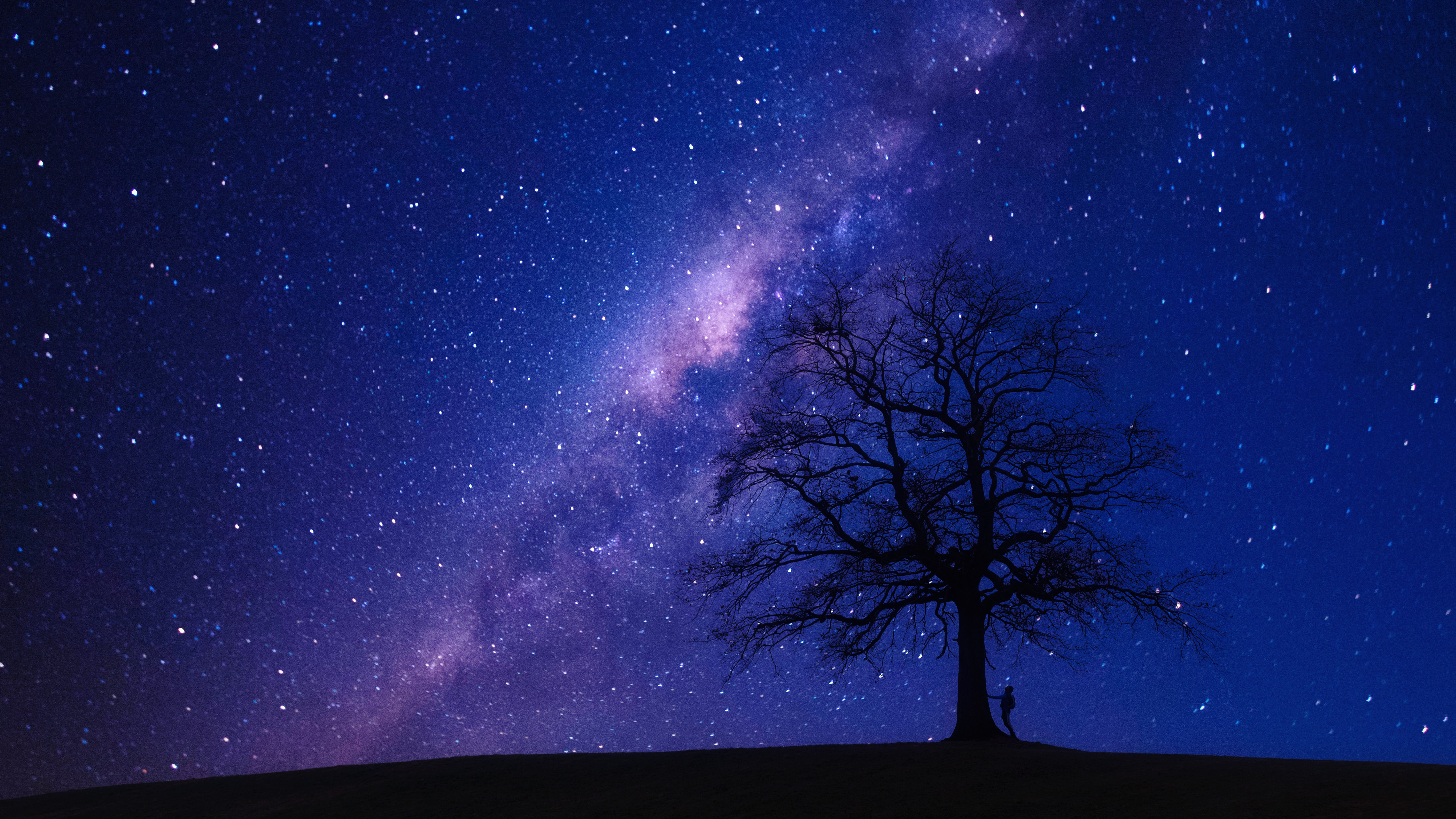 Milky Way Night And Bare Trees Wallpapers