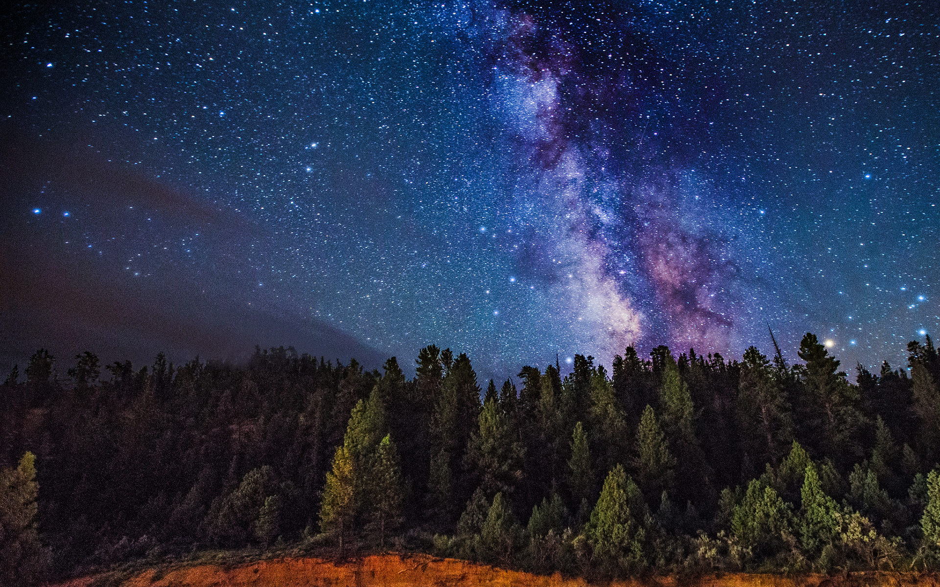 Milky Way Night And Bare Trees Wallpapers