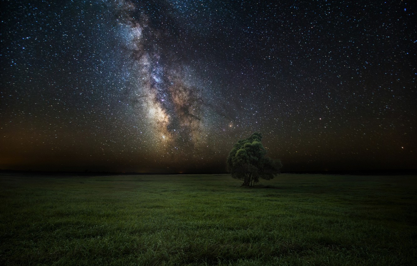 Milky Way Tree Field Wallpapers