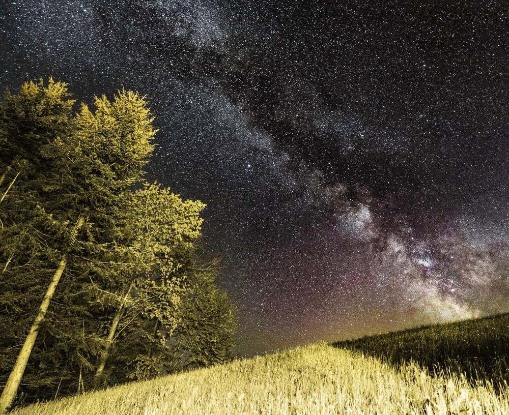 Milky Way Tree Field Wallpapers